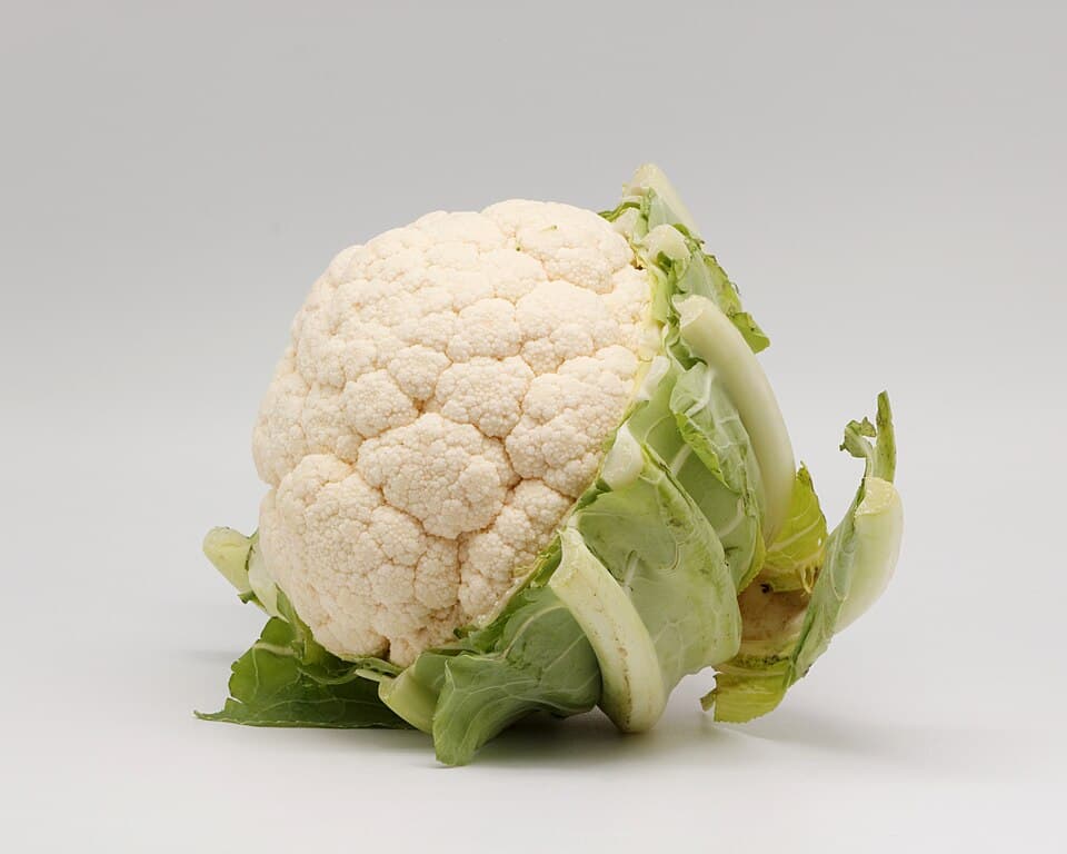 Cauliflower (Brassica oleracea (Botrytis group)) growing