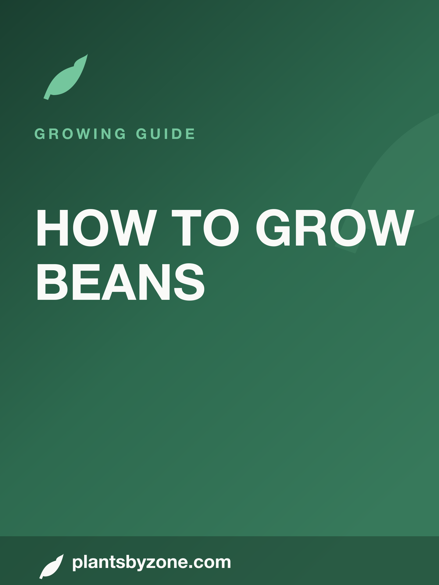 How to Grow Beans — Web Story cover