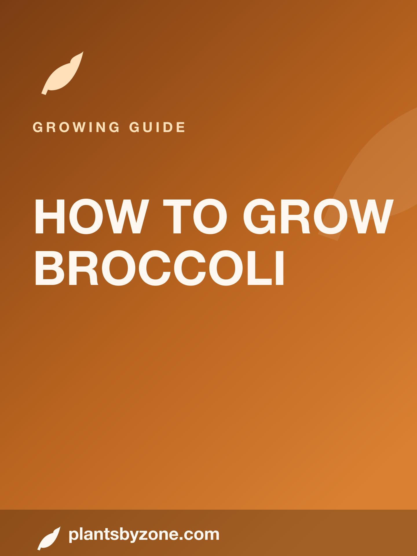 How to Grow Broccoli — Web Story cover