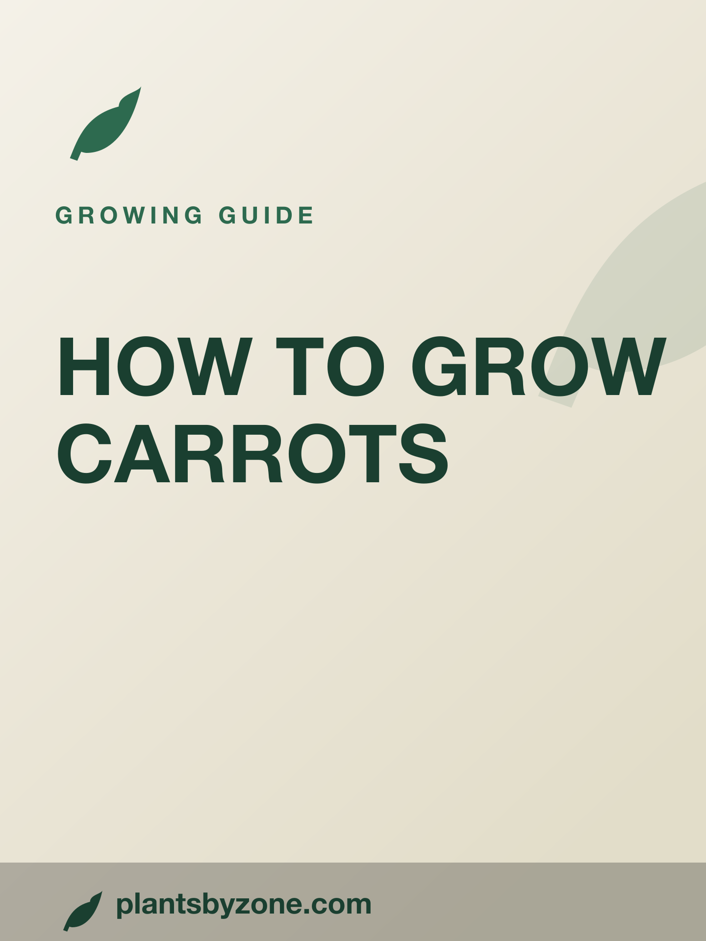 How to Grow Carrots — Web Story cover