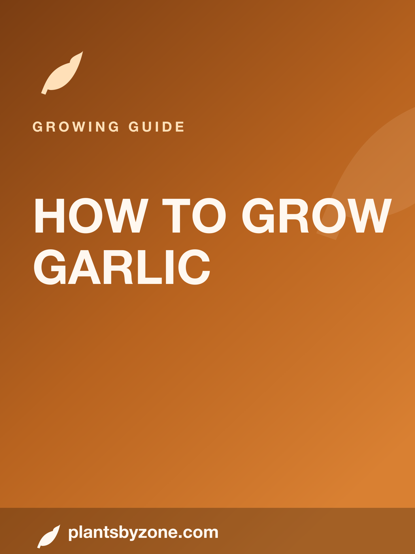 How to Grow Garlic — Web Story cover