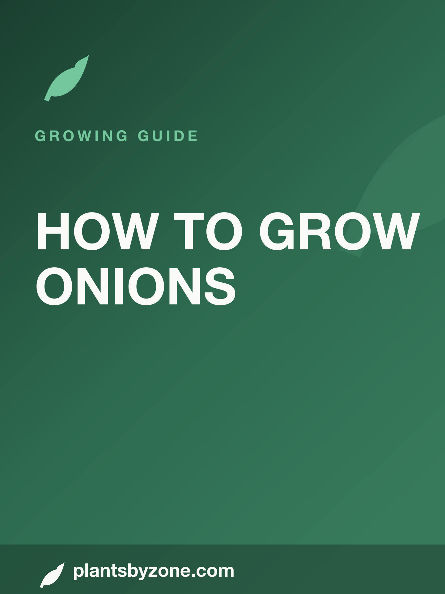 How to Grow Onions — Web Story cover