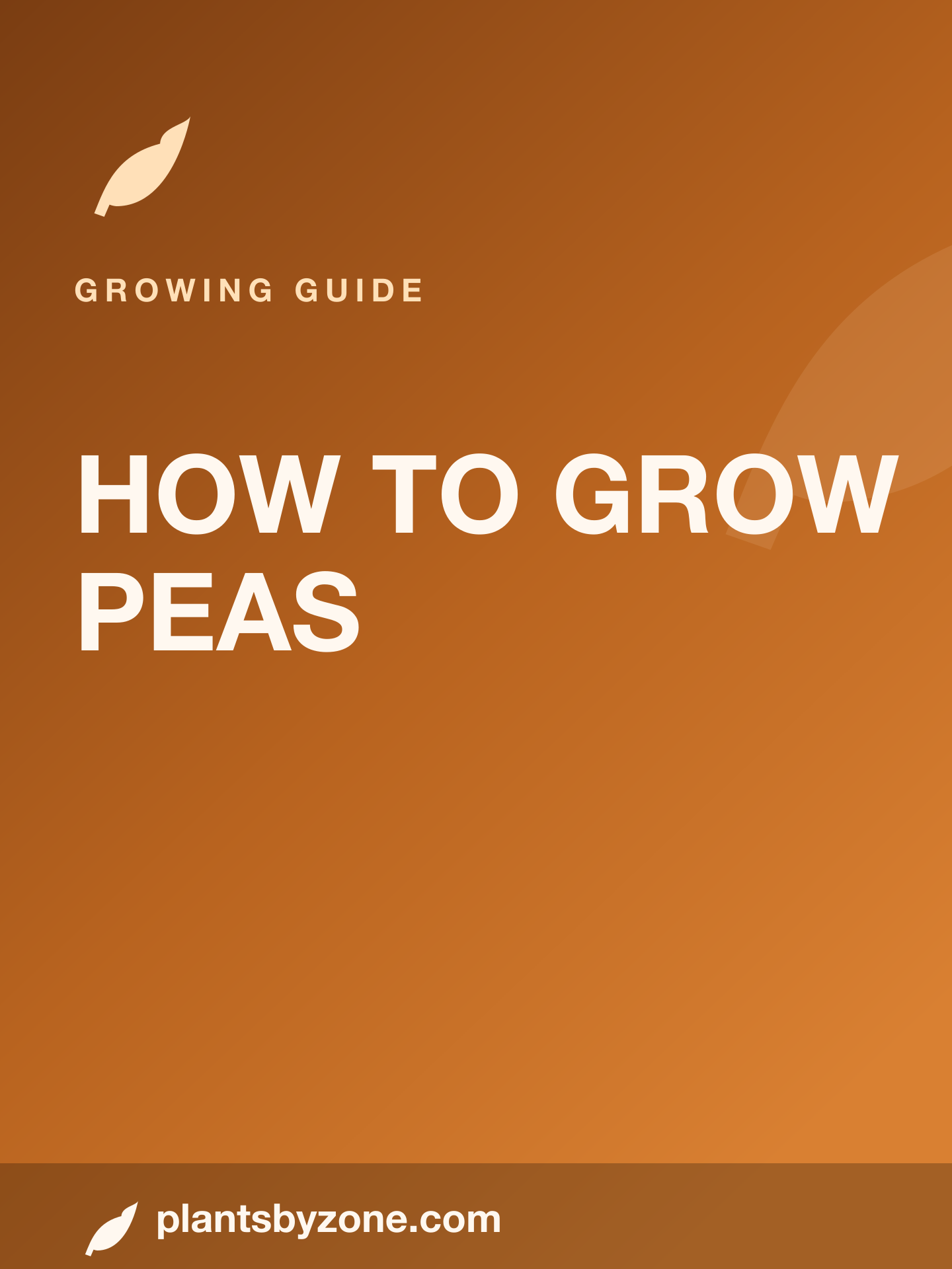 How to Grow Peas — Web Story cover
