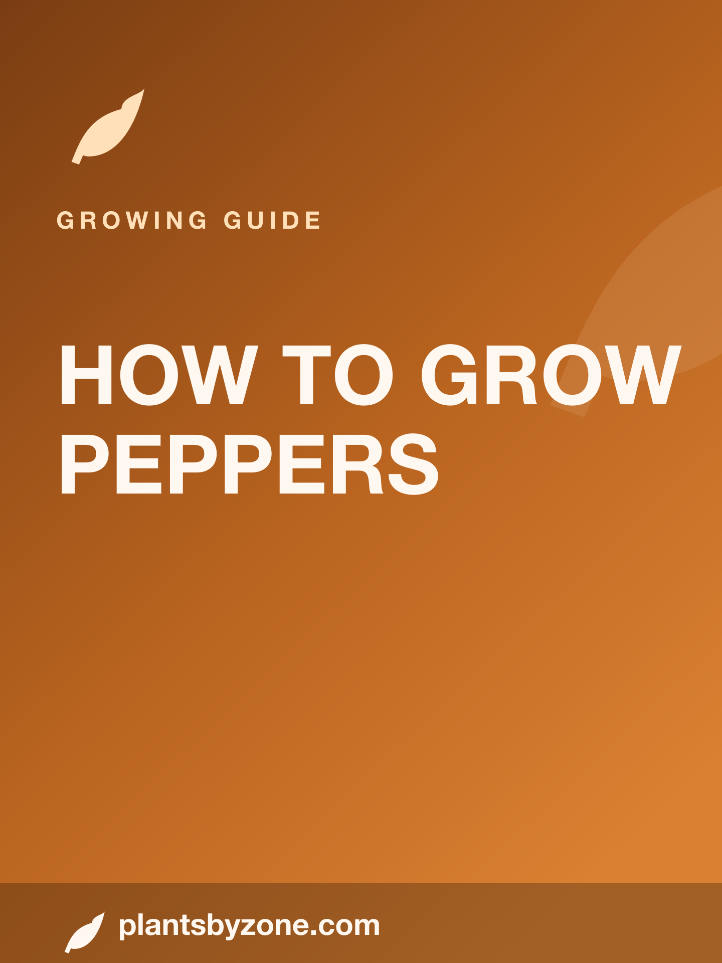How to Grow Peppers — Web Story cover