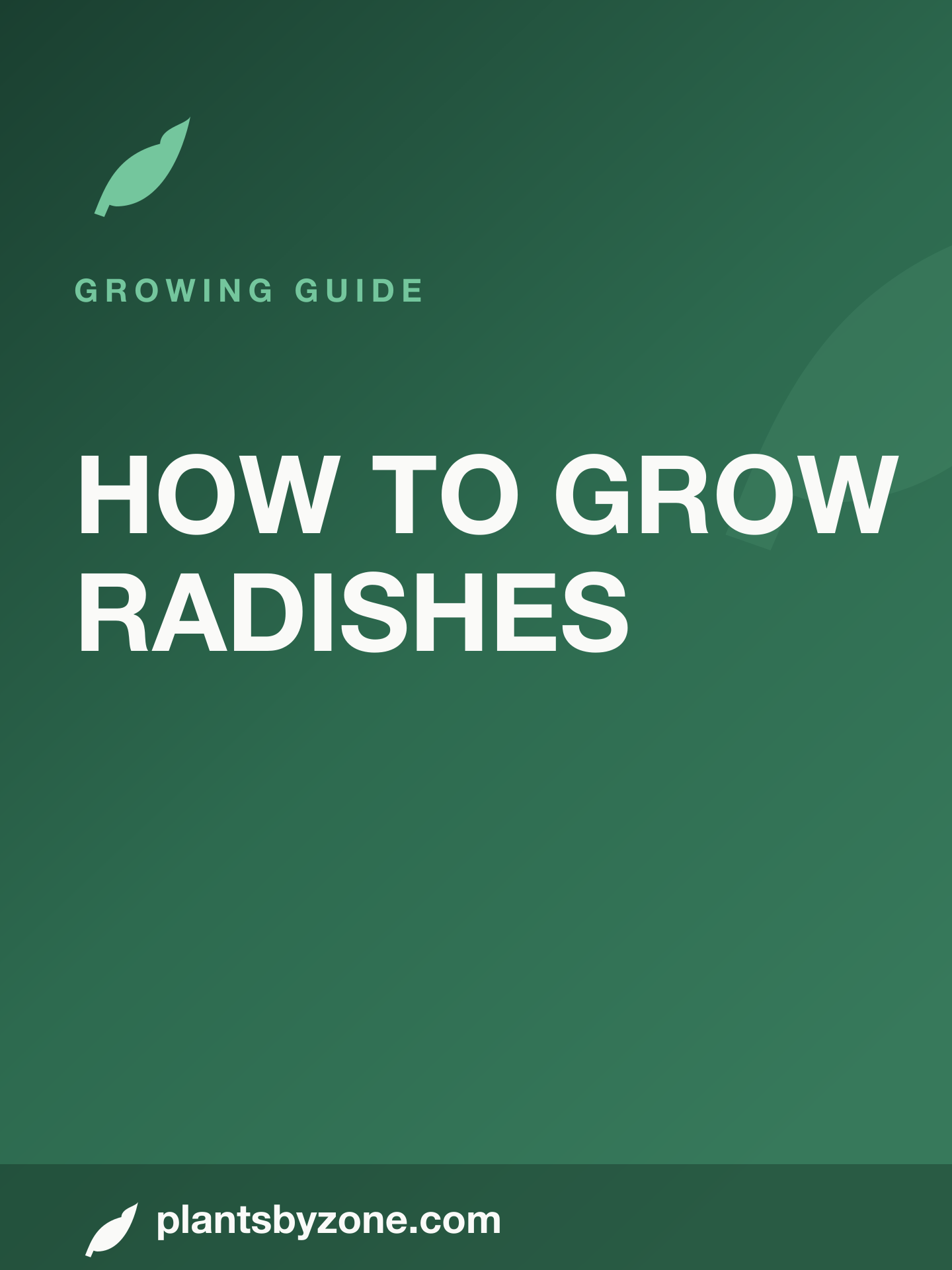 How to Grow Radishes — Web Story cover