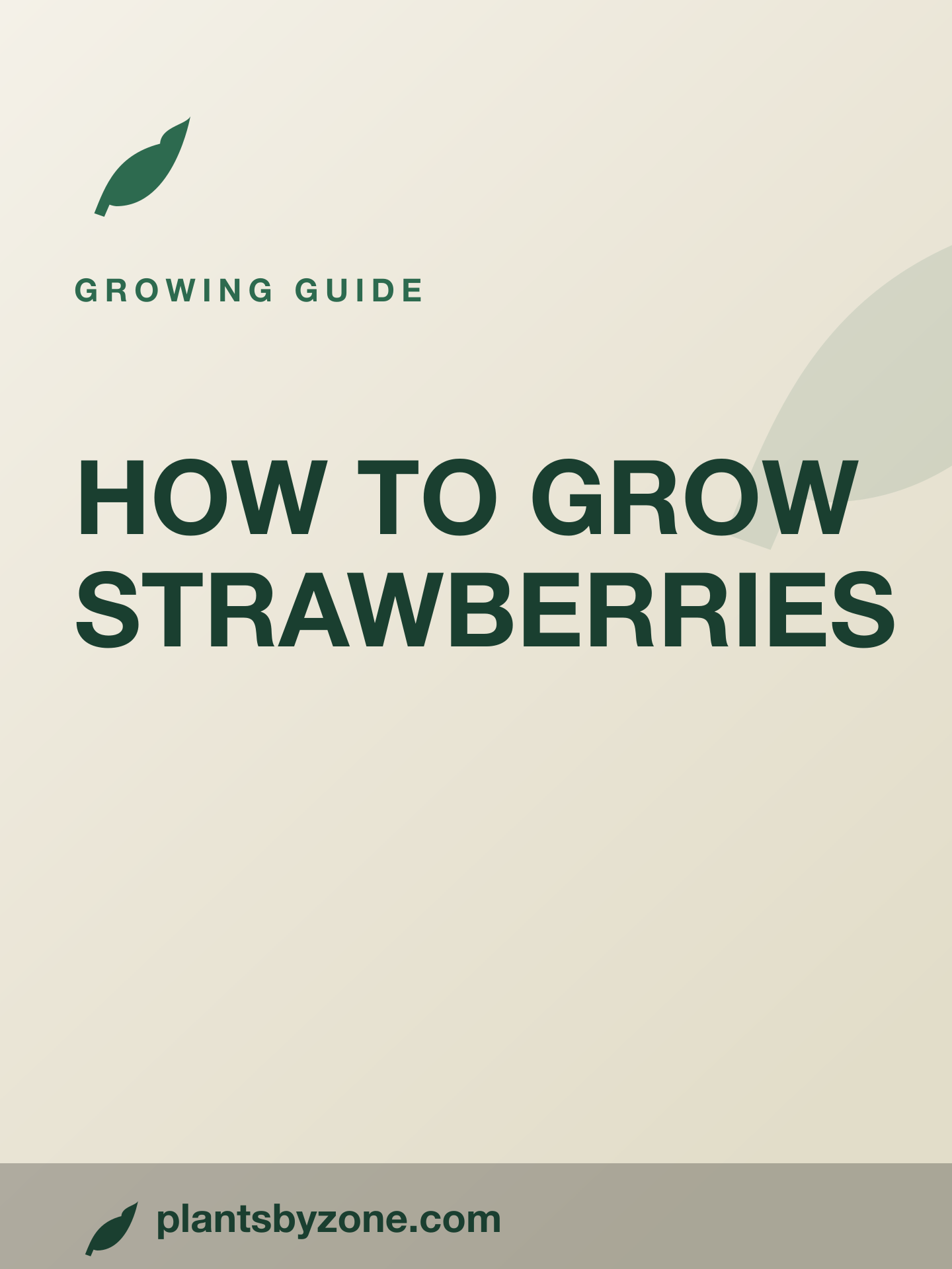 How to Grow Strawberries — Web Story cover
