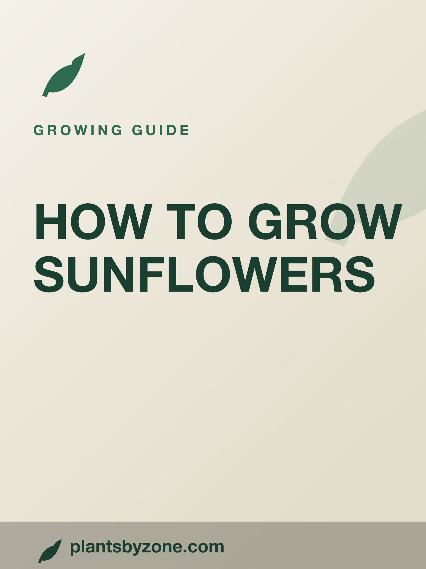 How to Grow Sunflowers — Web Story cover