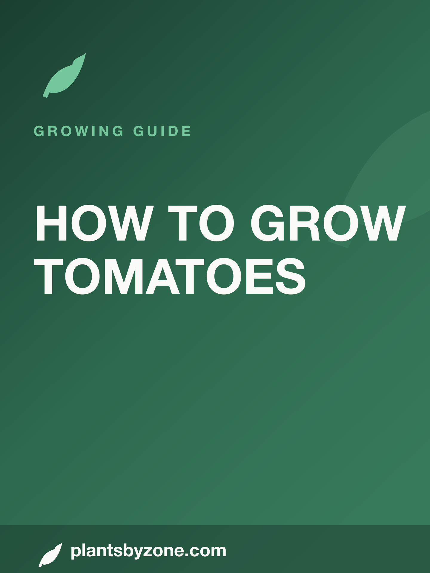 How to Grow Tomatoes — Web Story cover