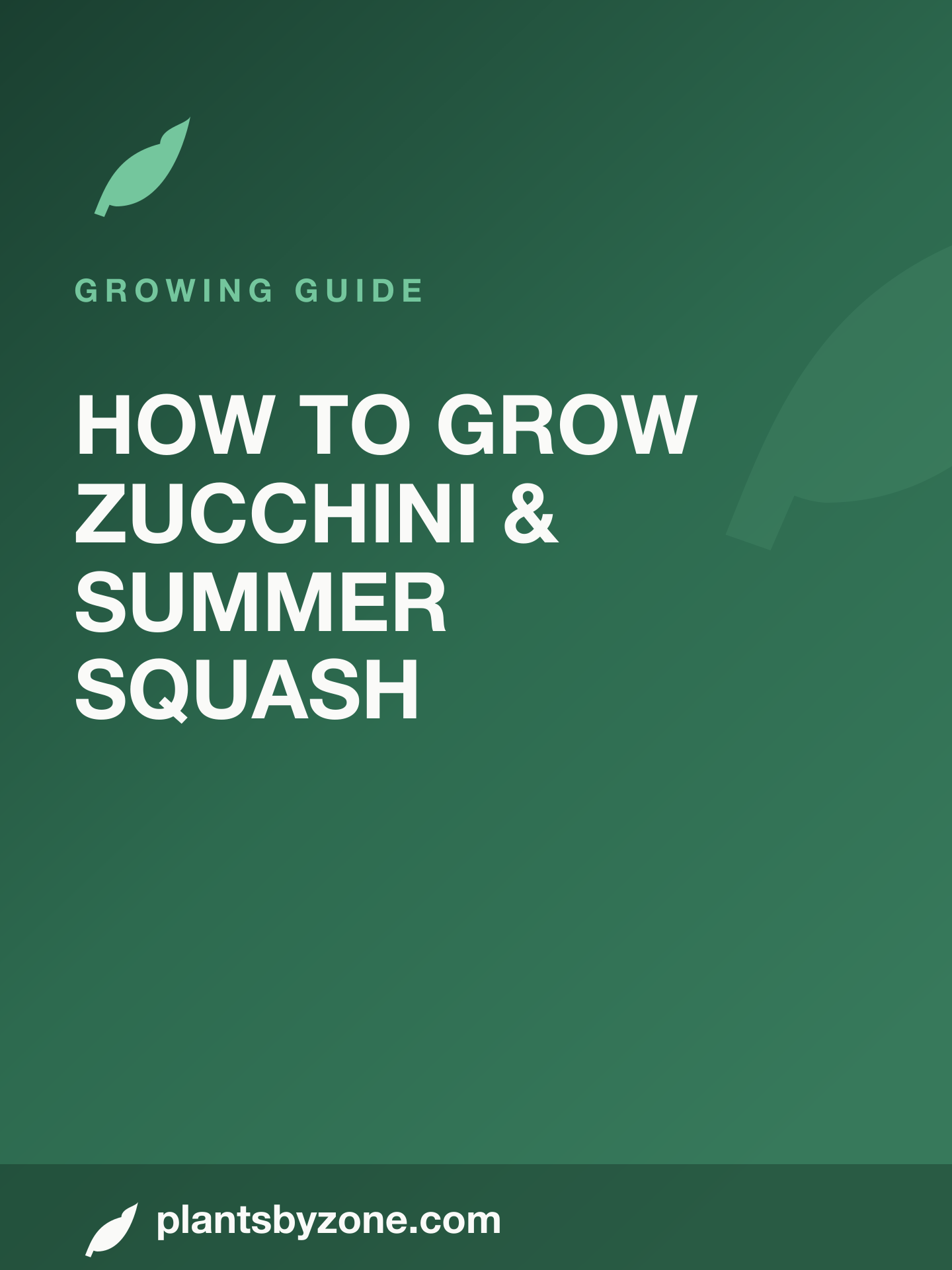 How to Grow Zucchini & Summer Squash — Web Story cover